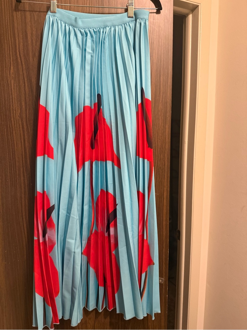 Light Blue Pleated Maxi Skirt with Red Floral Print